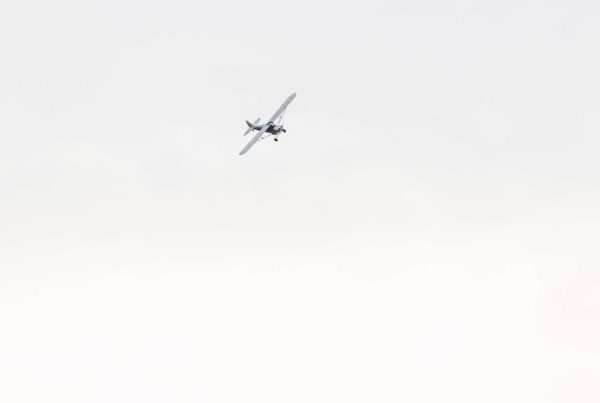 Learning to fly