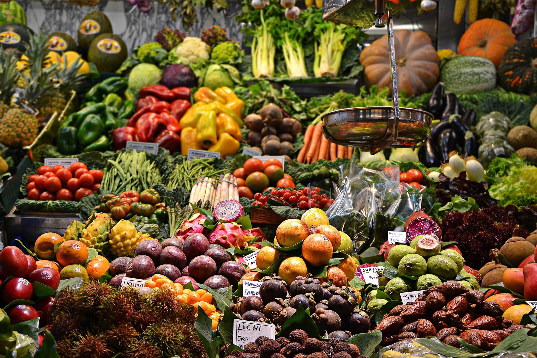Radio Lessons #4 – Vegans