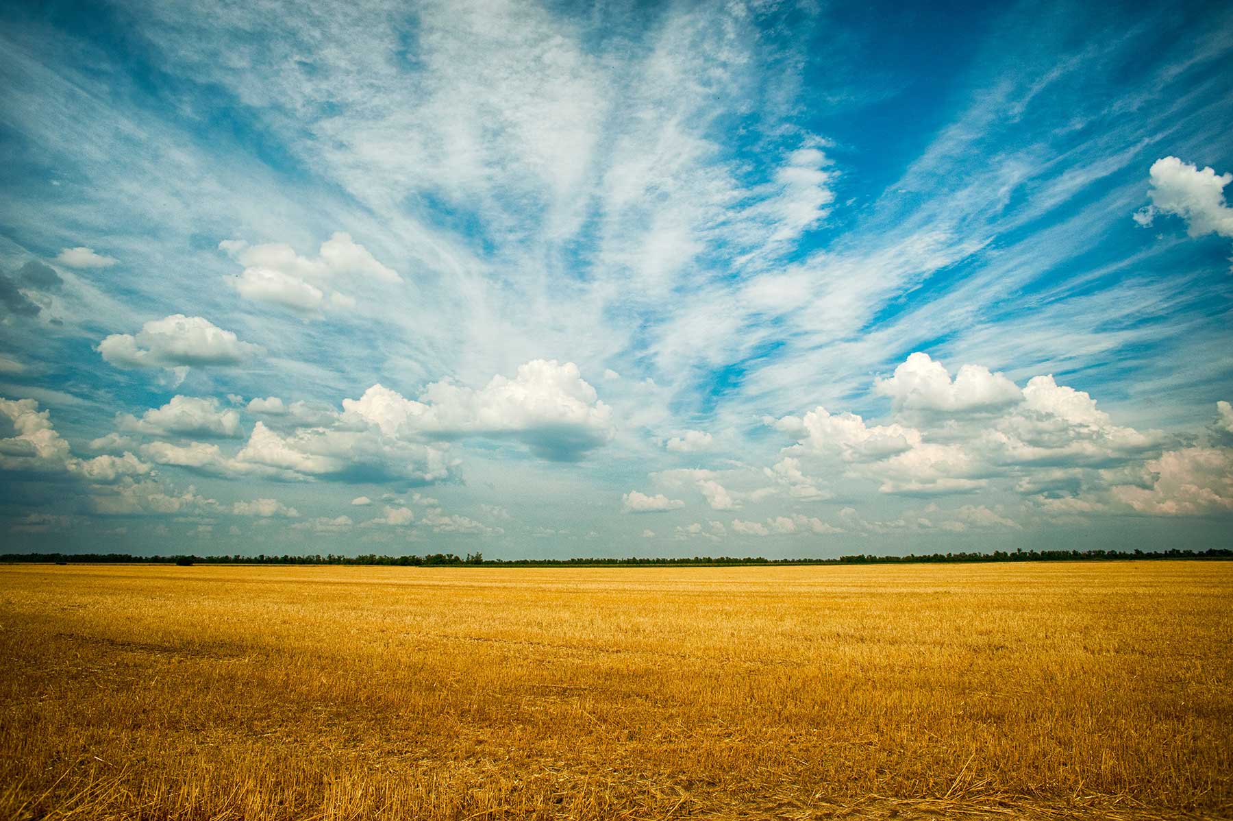 Radio Lessons #84 – Field of Dreams