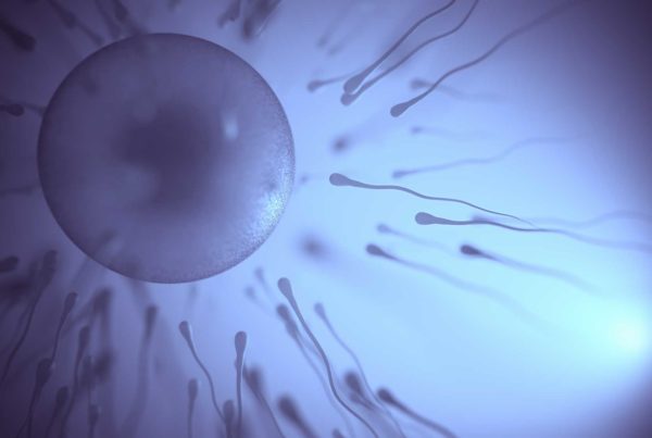 The Y Chromosome