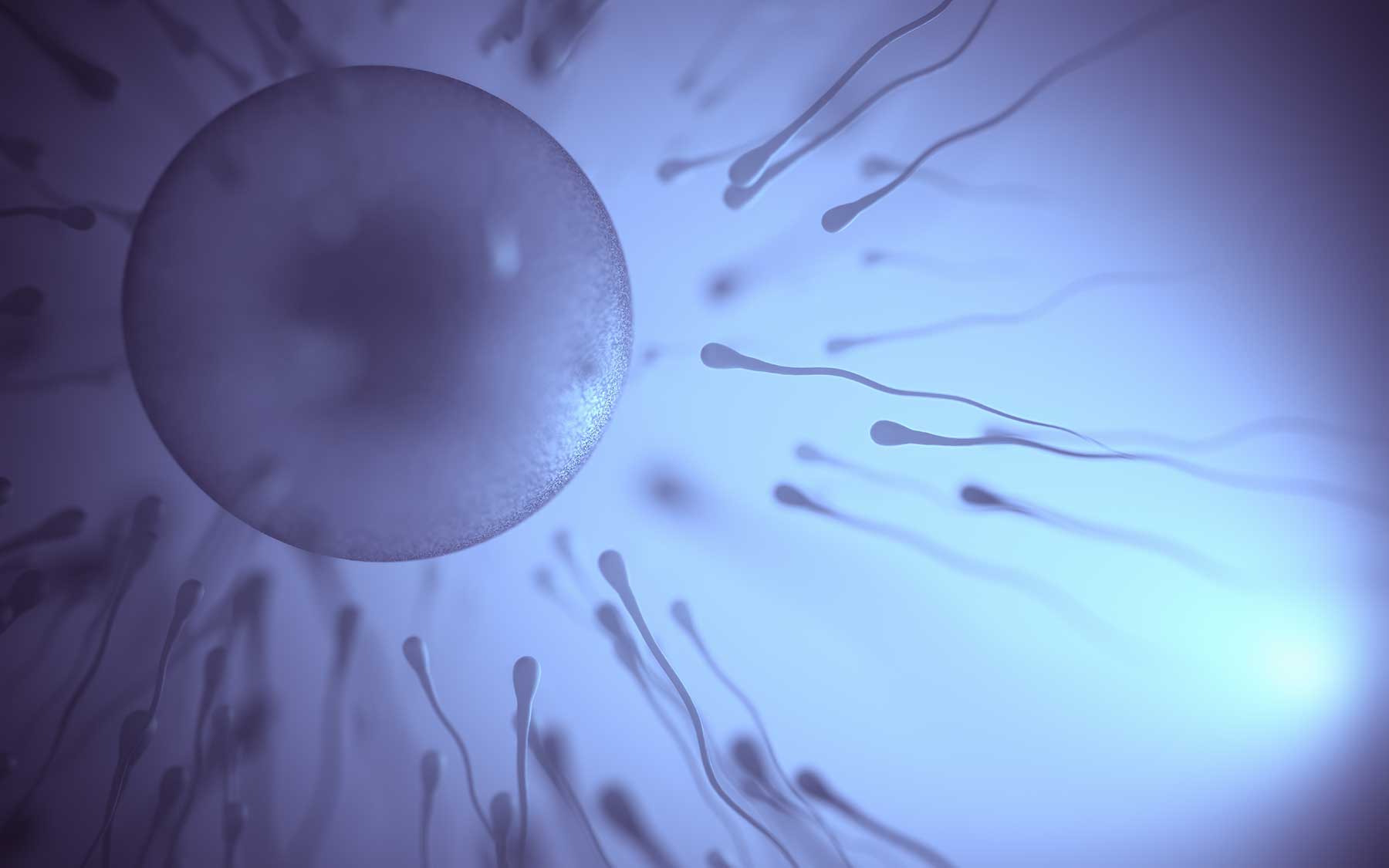 Radio Lessons #90 – The Y Chromosome