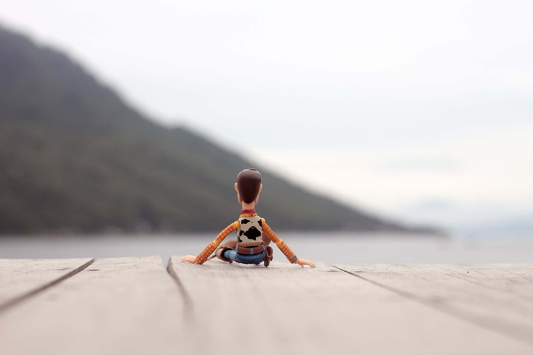 Radio Lessons #99 – Toy Story